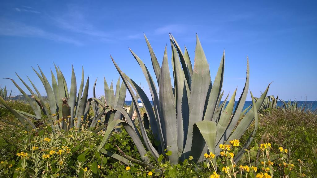 St.George'S Bay Country Club & Spa Αχαράβη Εξωτερικό φωτογραφία